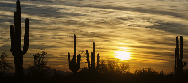 Arizona Desert.